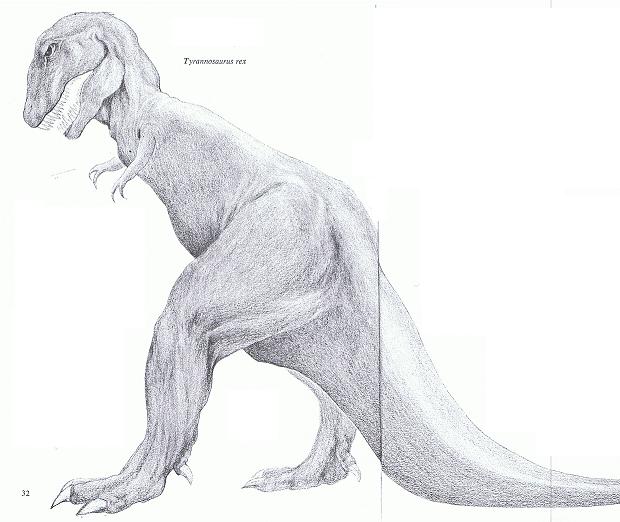 T-rex T-rex, as shown in The How and Why Wonder Book